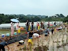 “六一遇端午 粽享童趣”—興瀘投資集團機關(guān)工會開展親子戶外活動